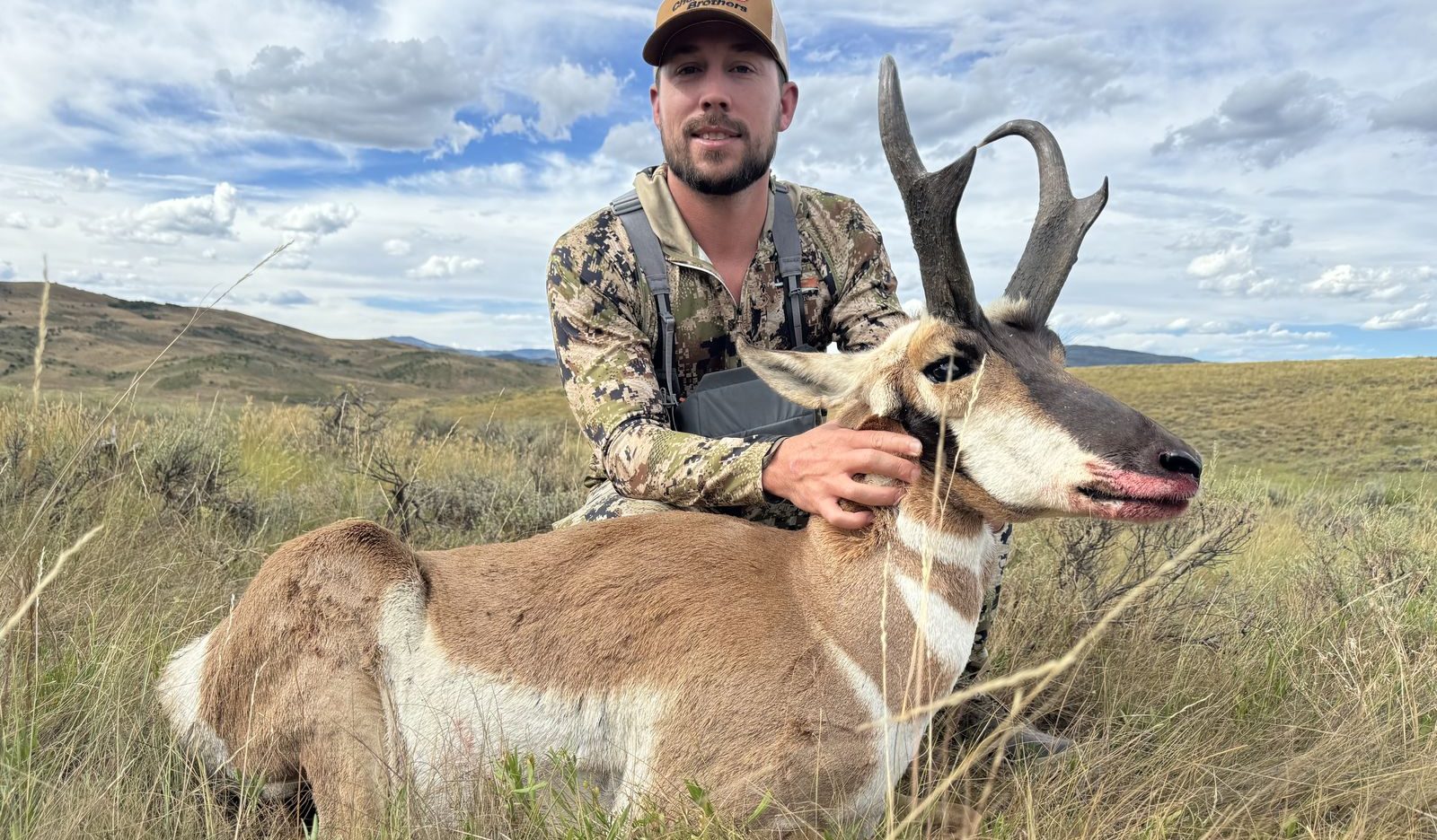 Pronghorn antelope on the Smith Rancho range