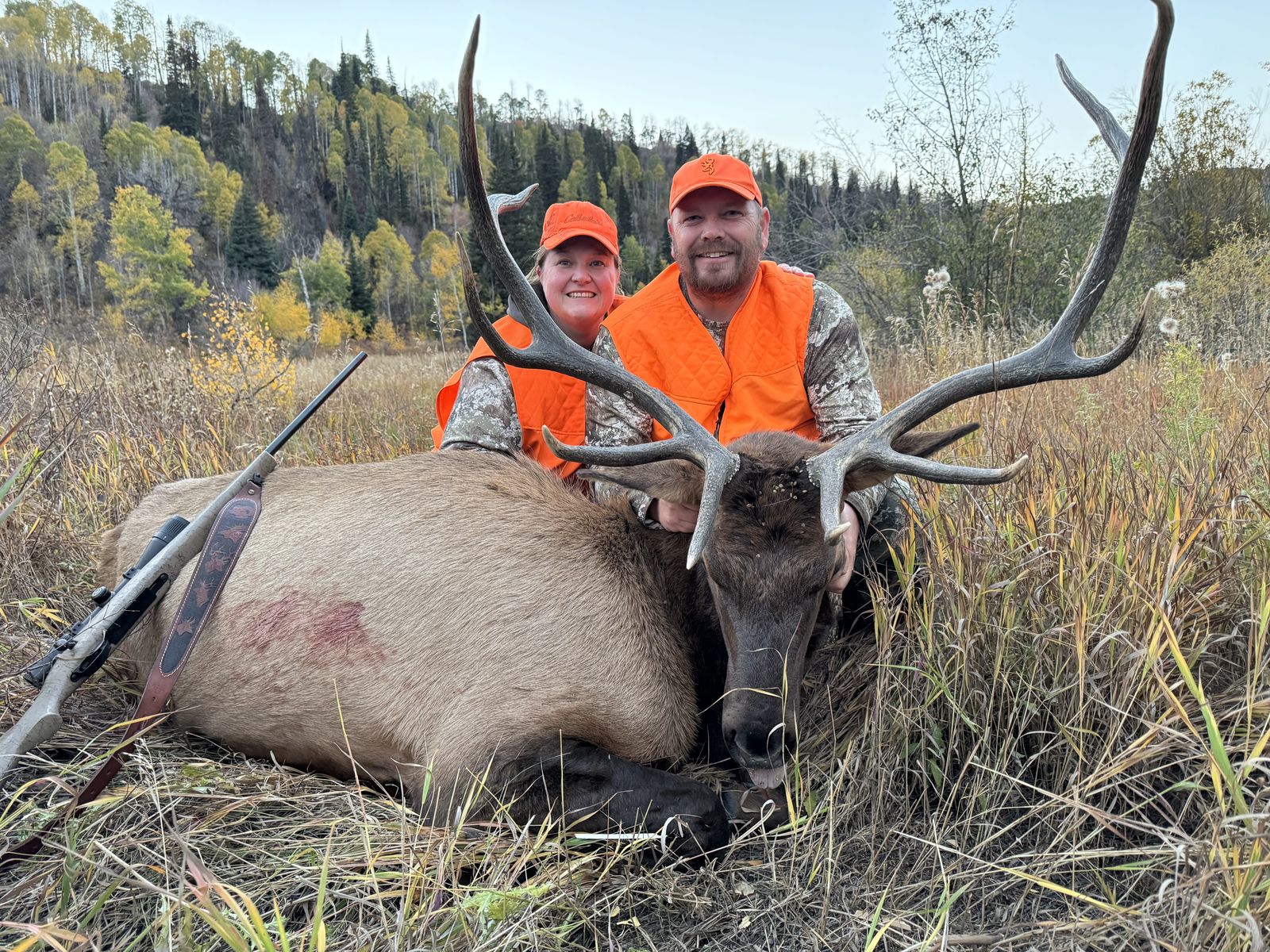 Bull elk harvest