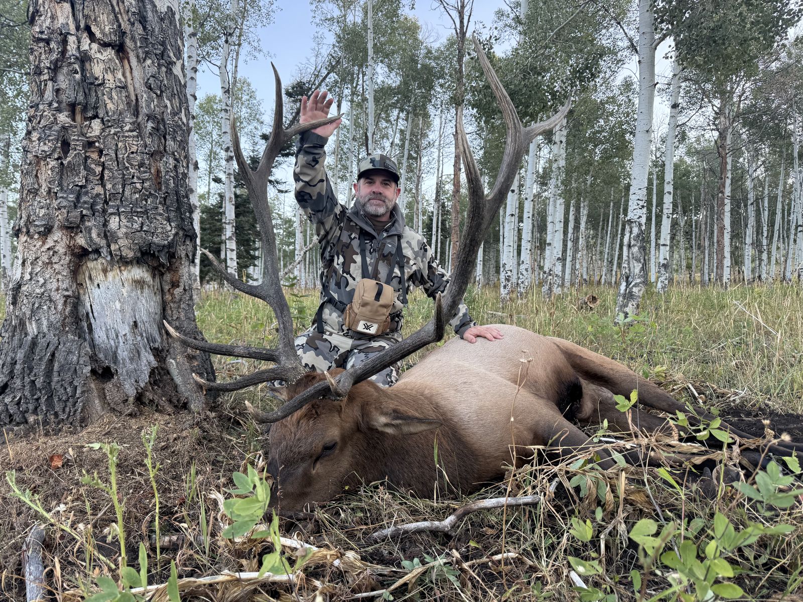 Hunter with bull elk