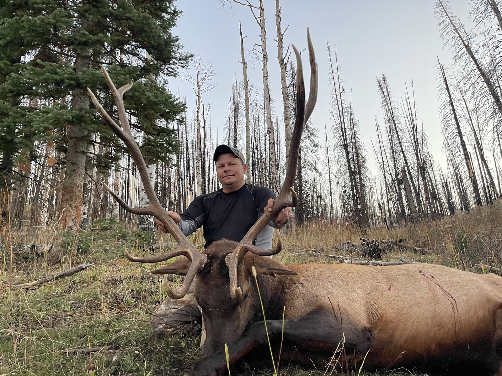 Elk hunt