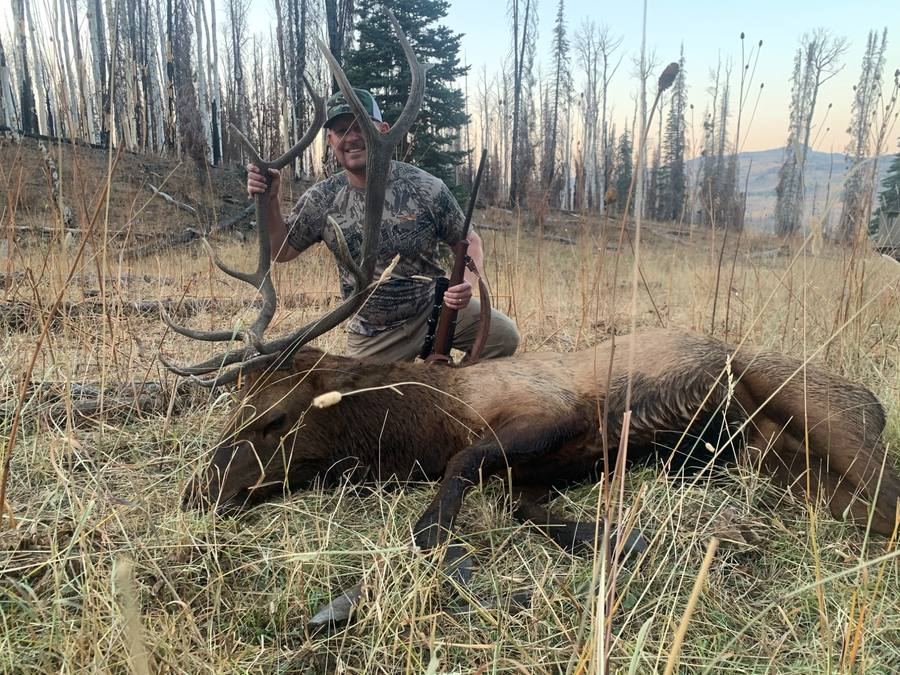 Two hunters with mule deer